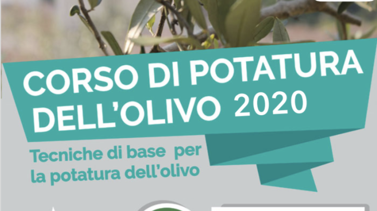 corso-potatura-olivo-2020