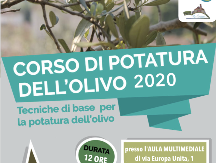 corso-potatura-olivo-2020