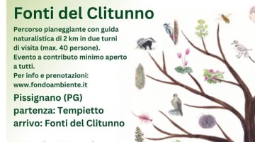 fai 25 maggio