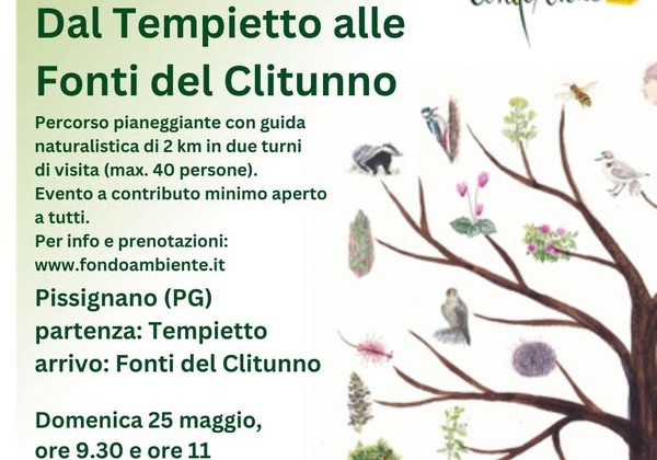 fai 25 maggio